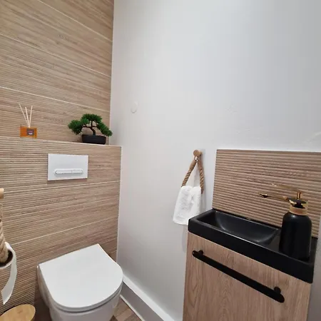 Apartman Le Bois D'ebene Roanne