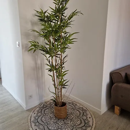 Le Bois D'ebene Apartman