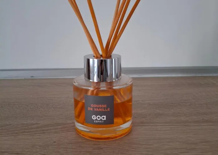 Le Bois D'ebene Lejlighed Roanne